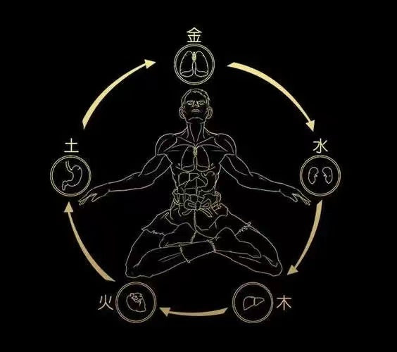Health Realted Element How the Five Elements Affect Human Health – Hint of Asia